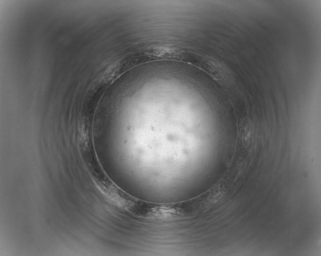 X0000078230607200611101011