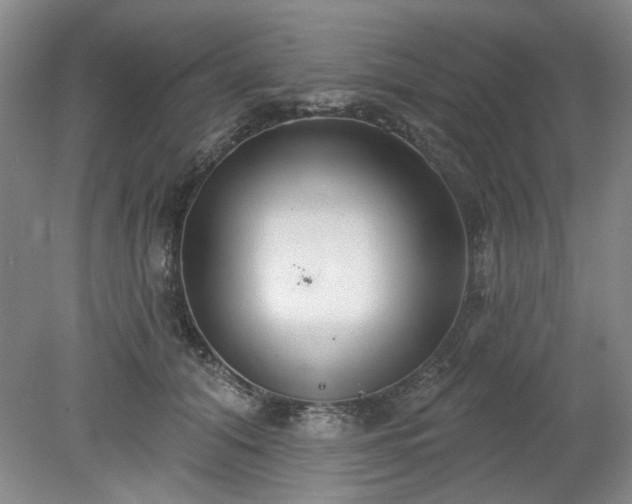 X0000078230608200611101011