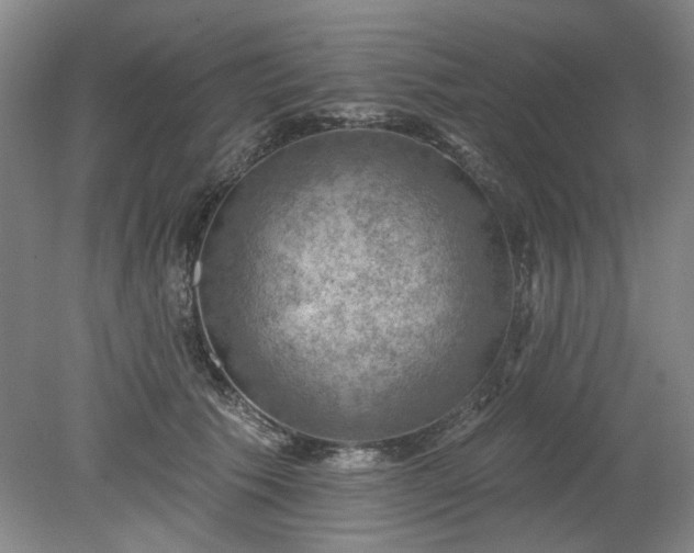 X0000078230609200611101011