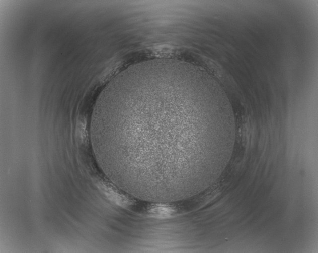 X0000078230610200611101011