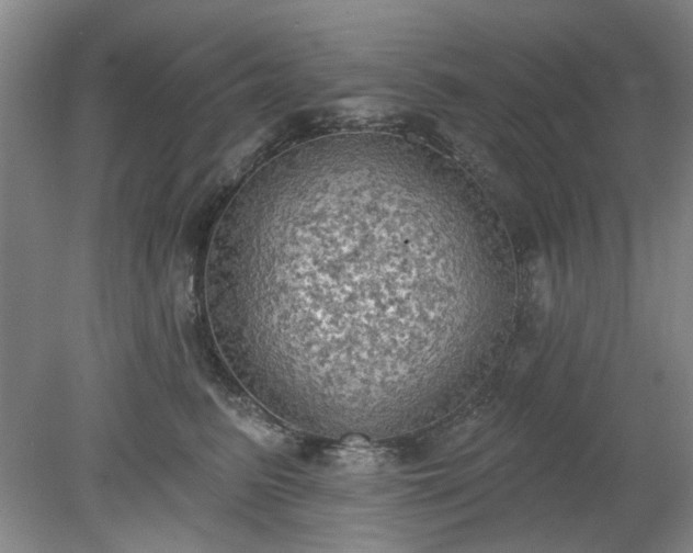 X0000078230615200611101011