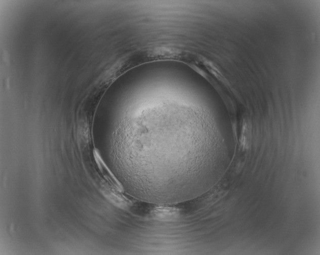 X0000078230617200611101011