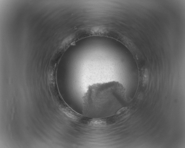 X0000078230619200611101011