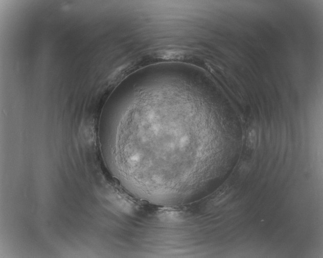 X0000078230620200611101011