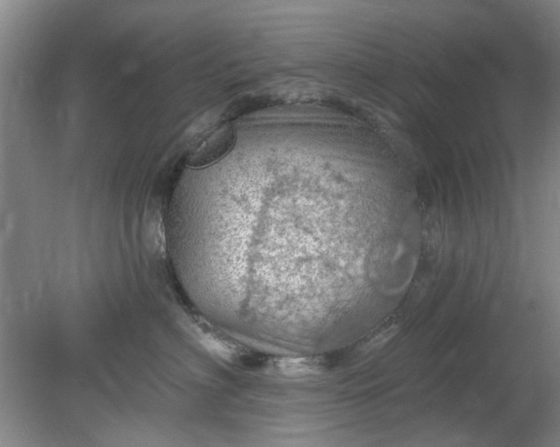 X0000078230622200611101011