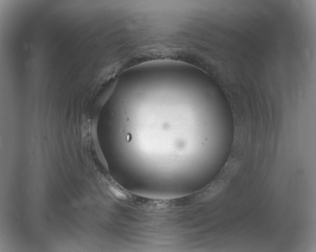 X0000078230624200611101011