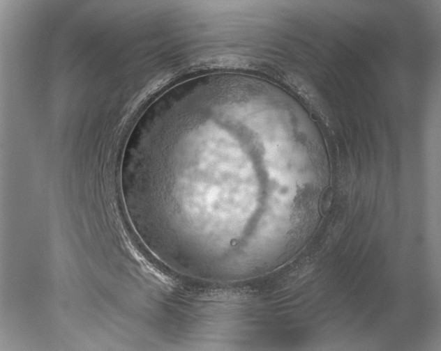 X0000078230625200611101010