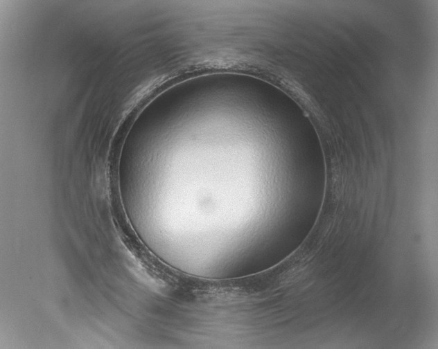 X0000078230626200611101010