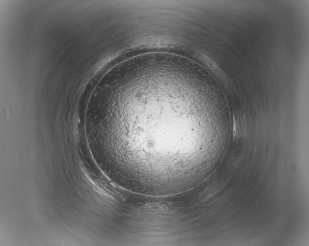 X0000078230627200611101010