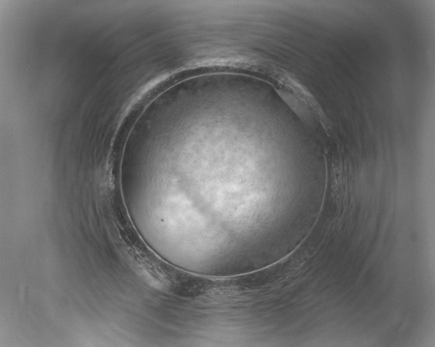 X0000078230628200611101010