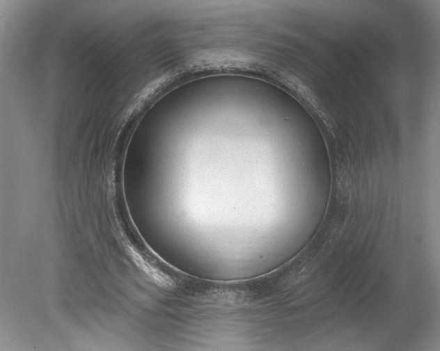 X0000078230629200611101010