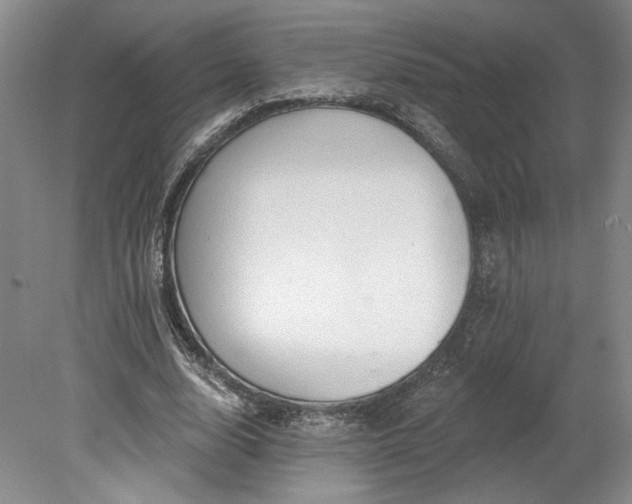 X0000078230632200611101010