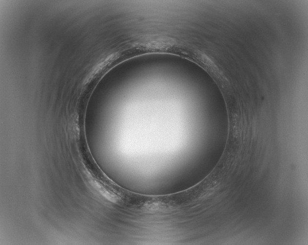 X0000078230634200611101010