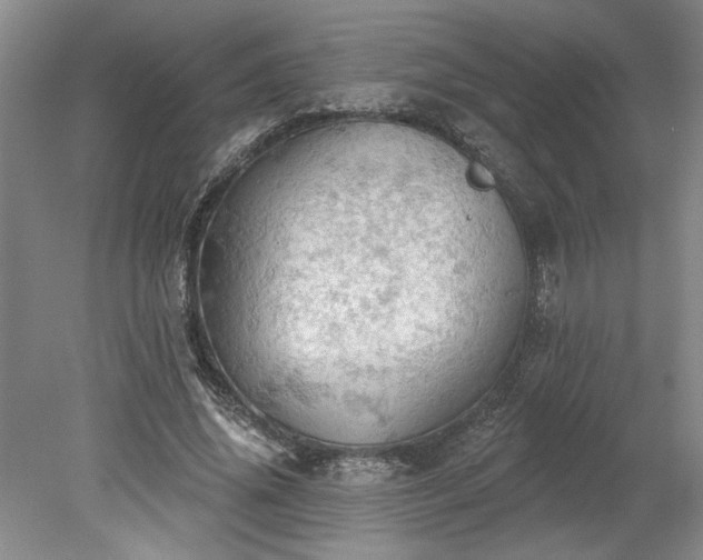 X0000078230636200611101010