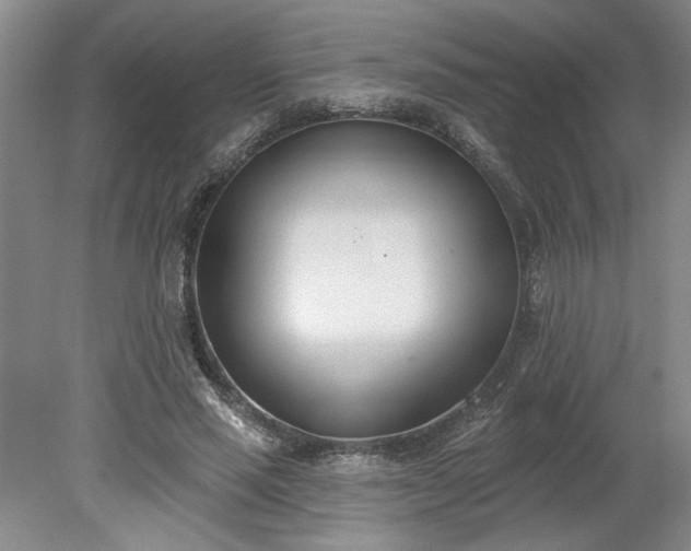 X0000078230637200611101010