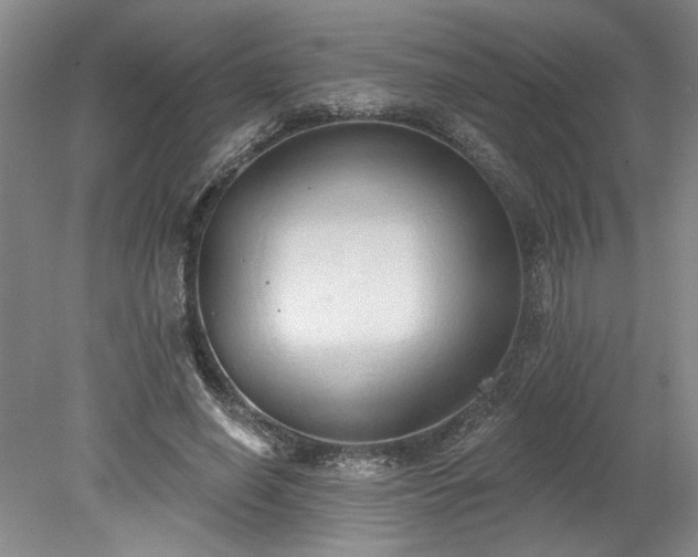 X0000078230638200611101010