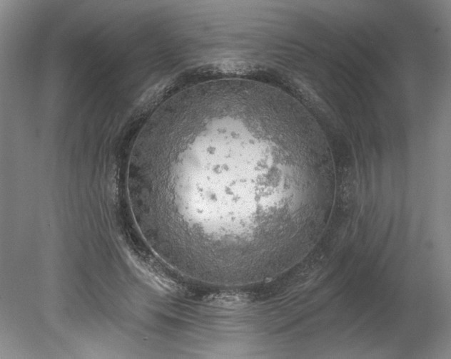 X0000078230639200611101010