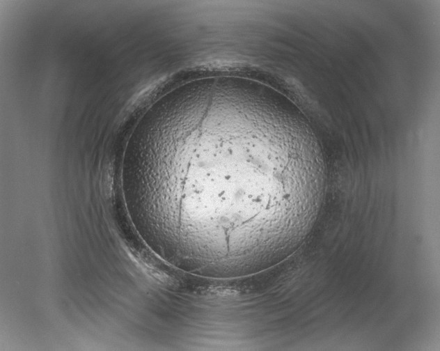 X0000078230640200611101010