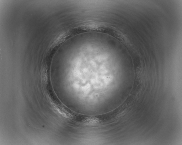 X0000078230642200611101010