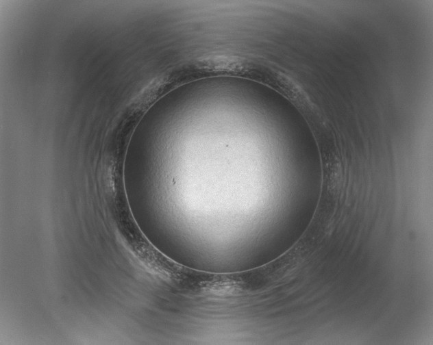 X0000078230643200611101010