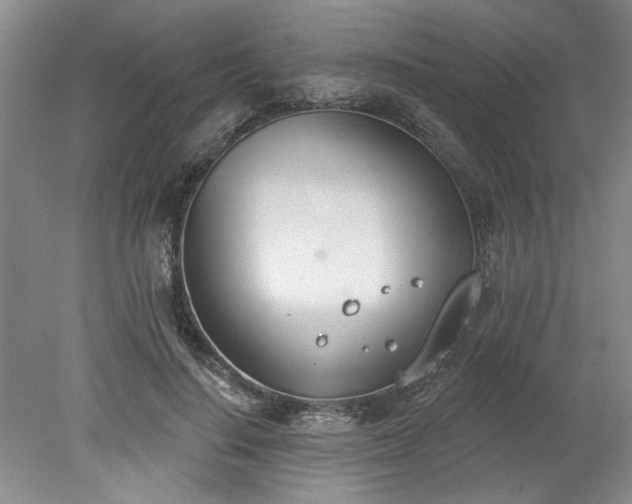 X0000078230644200611101010