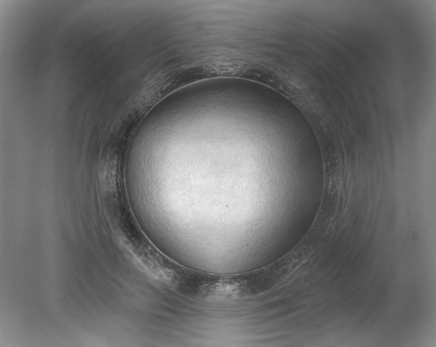 X0000078230647200611101010