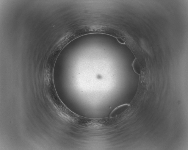 X0000078230648200611101010