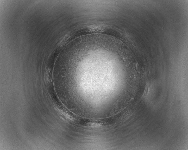 X0000078230649200611101011