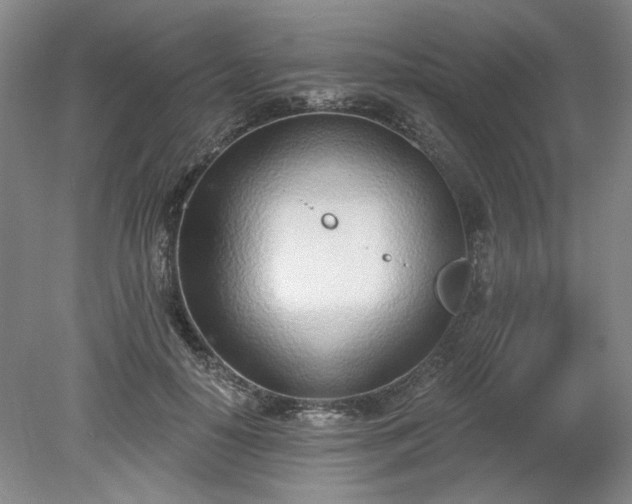 X0000078230650200611101011