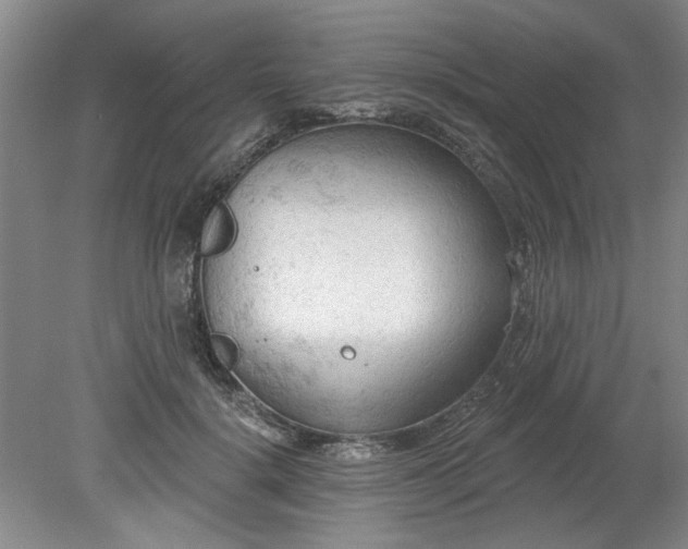 X0000078230652200611101011