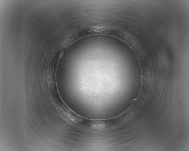 X0000078230653200611101011