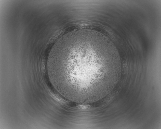 X0000078230654200611101011