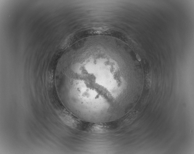 X0000078230657200611101011