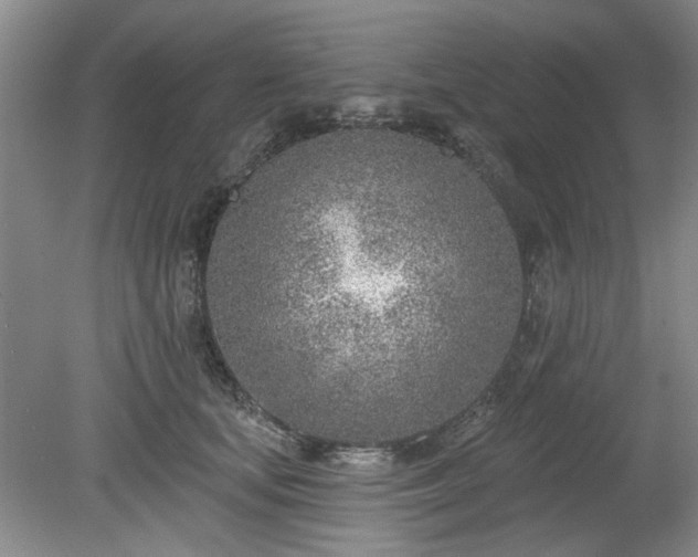 X0000078230659200611101011