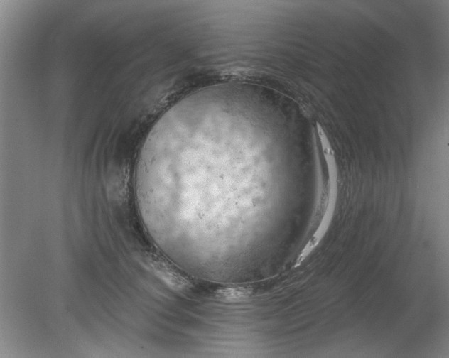 X0000078230660200611101011