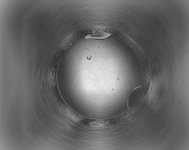 X0000078230661200611101011