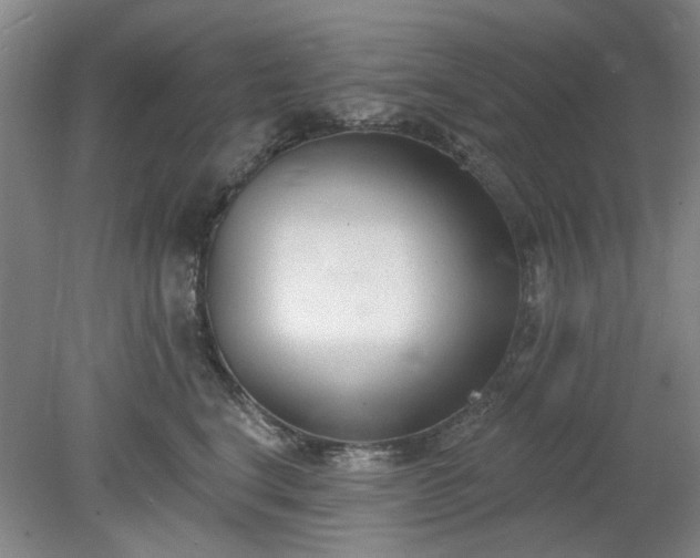 X0000078230664200611101011