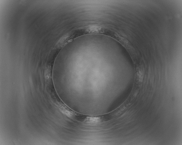 X0000078230665200611101011