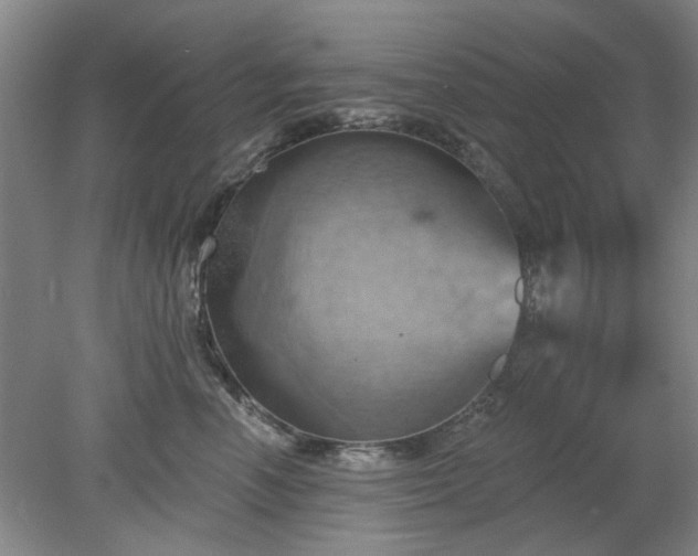 X0000078230666200611101011