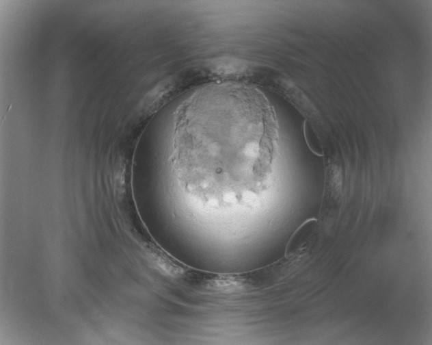 X0000078230668200611101011