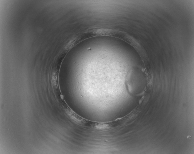 X0000078230669200611101011