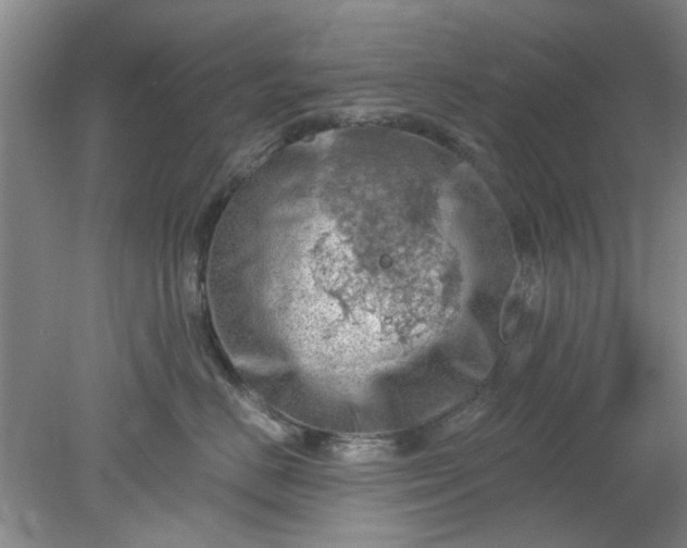 X0000078230670200611101011