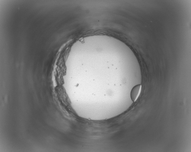 X0000078230672200611101011