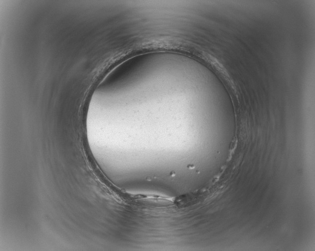 X0000078230673200611101010