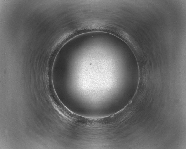 X0000078230677200611101010