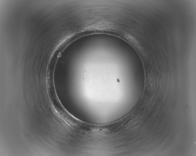 X0000078230680200611101010