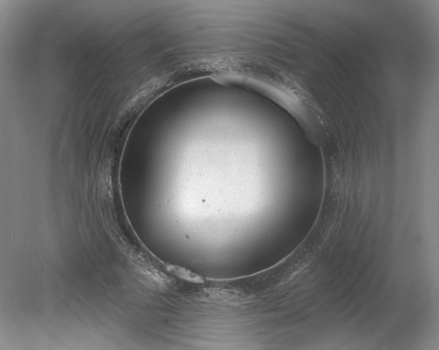 X0000078230681200611101010