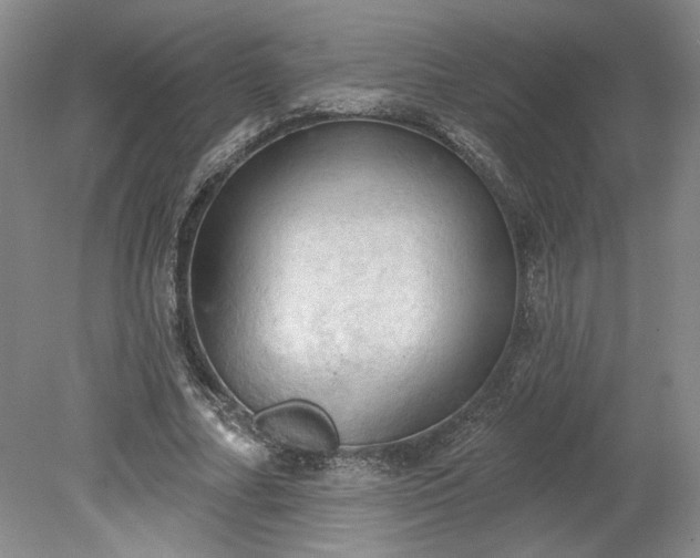 X0000078230682200611101010