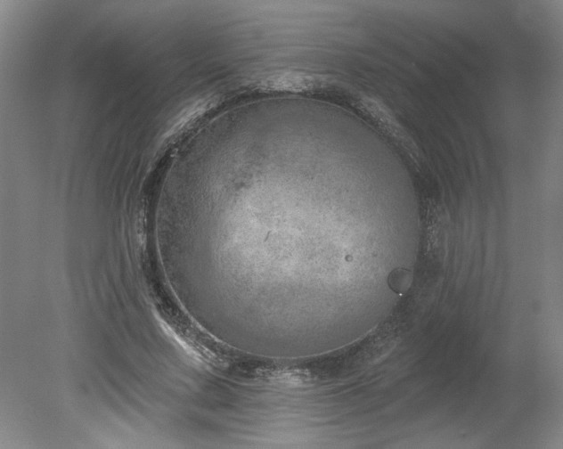 X0000078230683200611101010