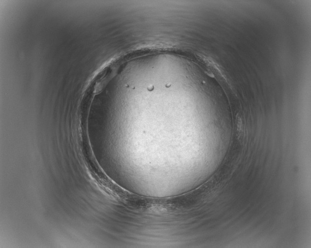 X0000078230684200611101010